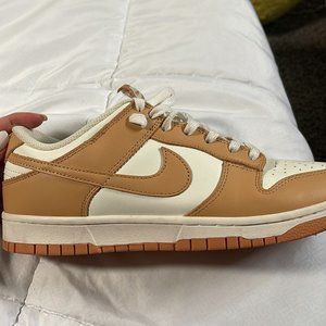 mens nike dunks